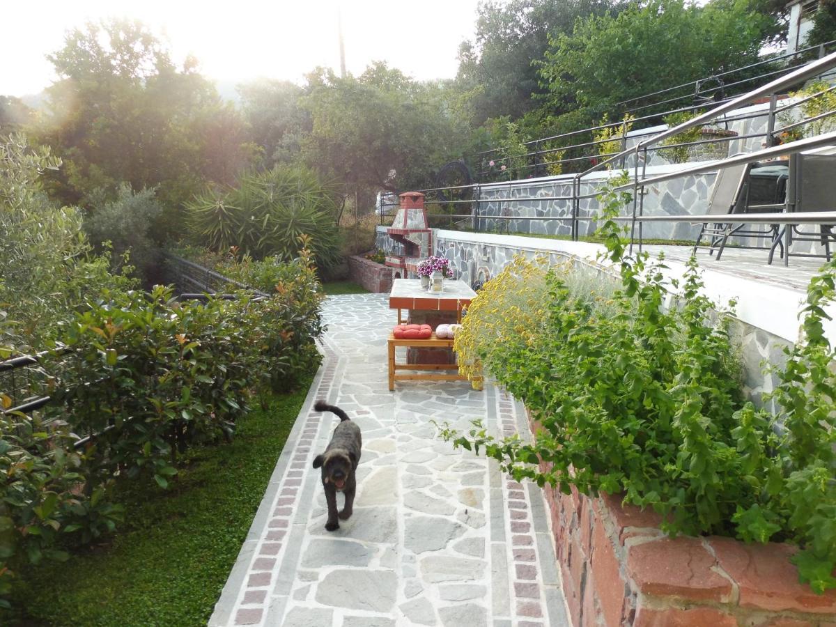 Helianthos Villa - Apartment No1 Palaiontsiflikion Luaran gambar
